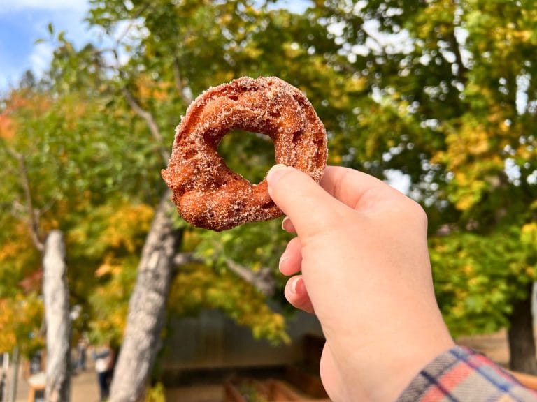 Apple cider donuts at Rainbow Orchards in Apple Hill 
