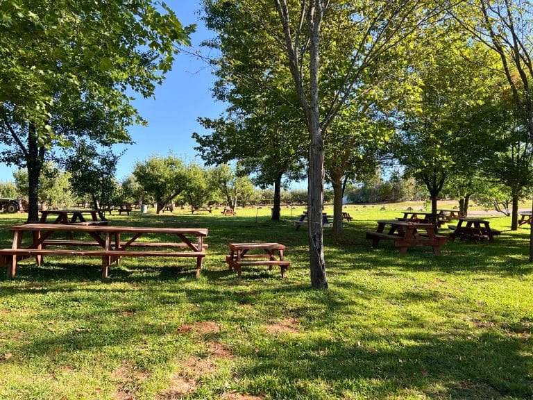 Rainbow Orchards in Apple Hill
