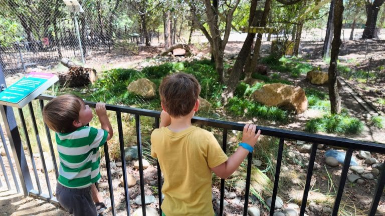 Best Things To Do in Redding with Kids: See animals at Turtle Bay Exploration Park 