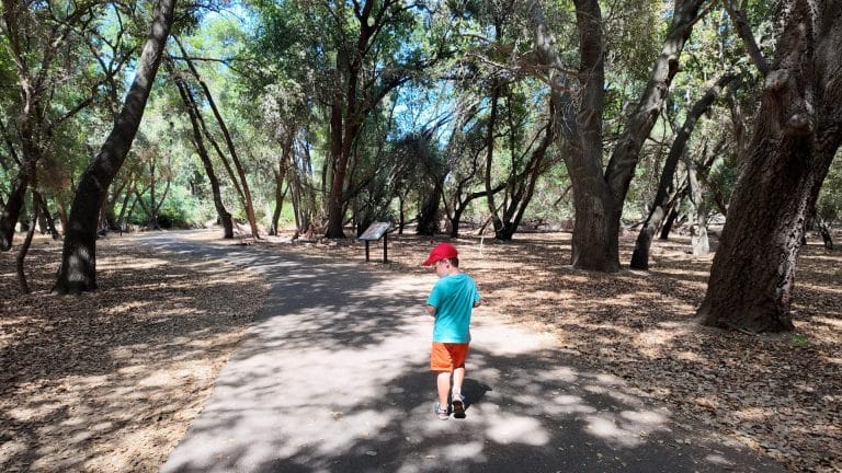 Incredible views at the Lodi Lake Nature Trail. 