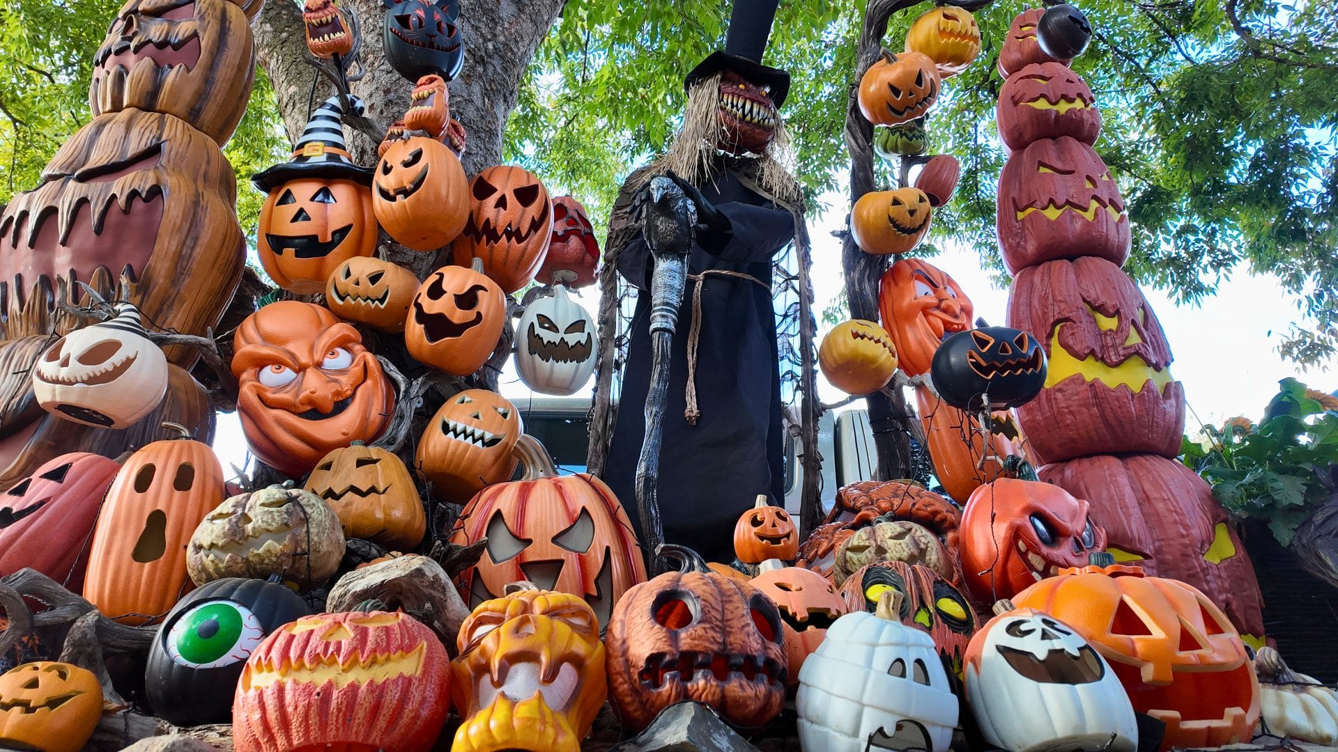 Oak Park Halloween House in Sacramento