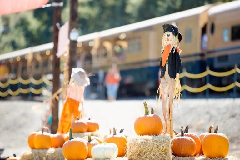 Pumpkin Patch Express on the Sacramento River Fox Train