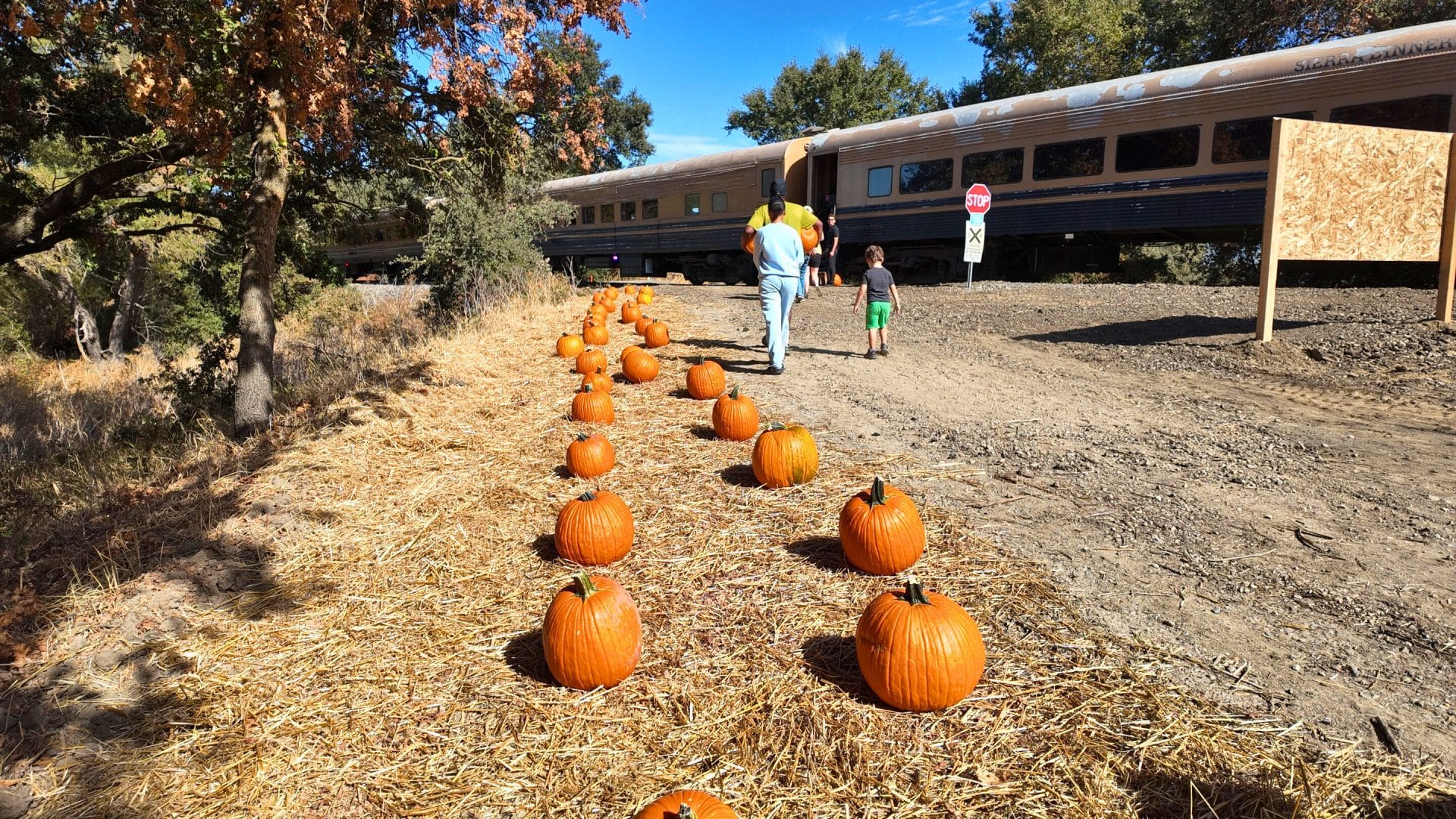 Sacramento River Fox Train Pumpkin Patch Express