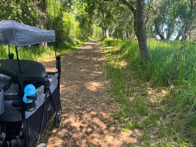 Stroller-Friendly Nature Trails at Lodi Lake